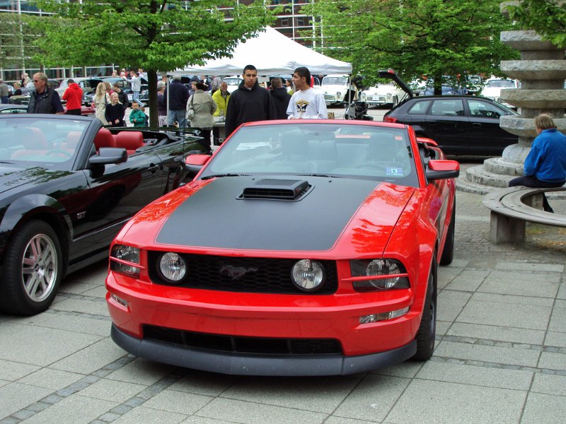 DSC00480_edited-1.JPG