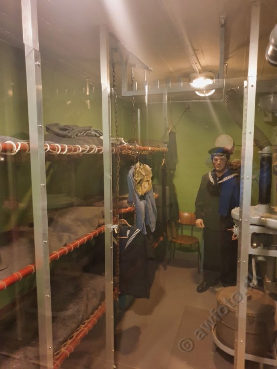 2020-07-11 11.55.31.jpg