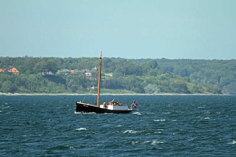 IMG_1111.JPG