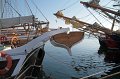 IMG_1182