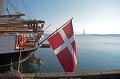IMG_1186