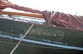 IMG_1197