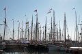 IMG_1206