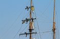 IMG_1301