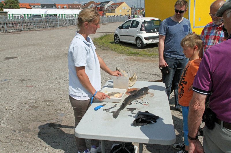 IMG_0852.JPG