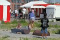 IMG_0796