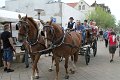 IMG_0966