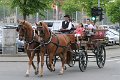 IMG_0974
