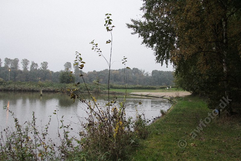 IMG_2575.JPG
