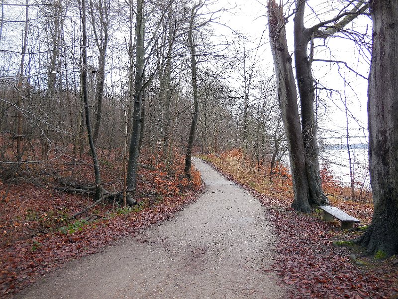 DSCN0371.JPG