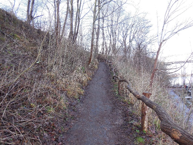 DSCN0376.JPG