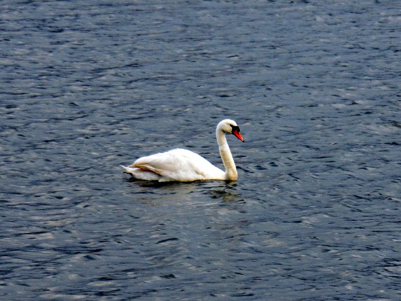 DSCN1735.JPG