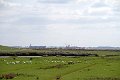 IMG_0463