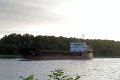 IMG_0520