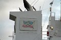 IMG_0536