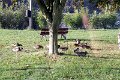 IMG_0605