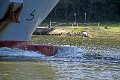 IMG_0639