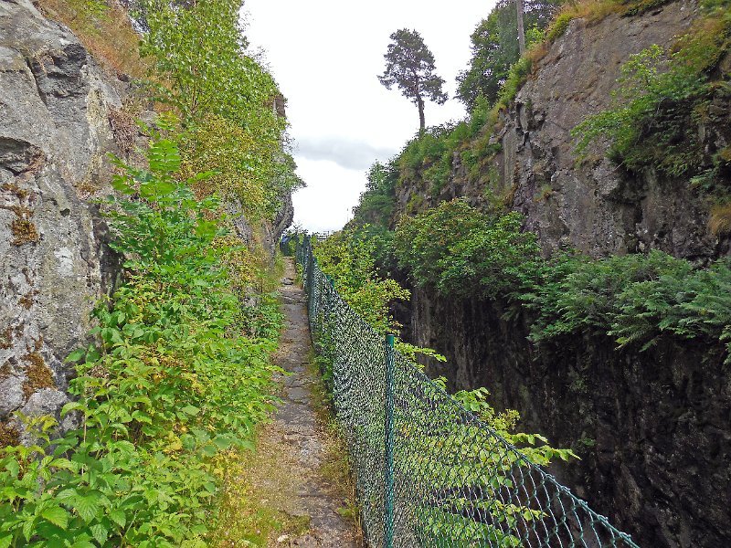 DSCN0816.JPG