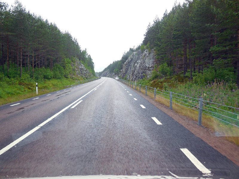 DSCN0919.JPG