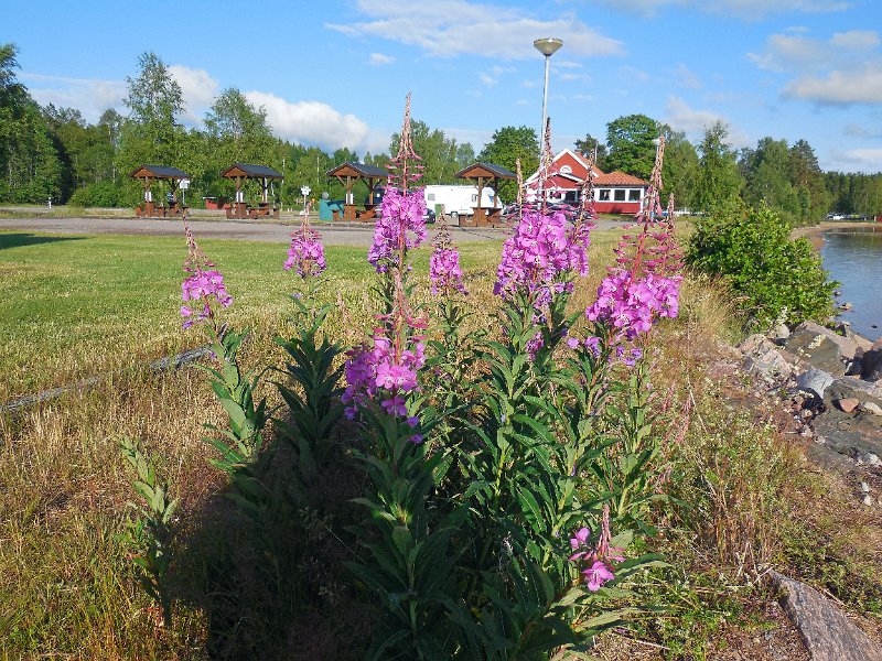 DSCN0939.JPG