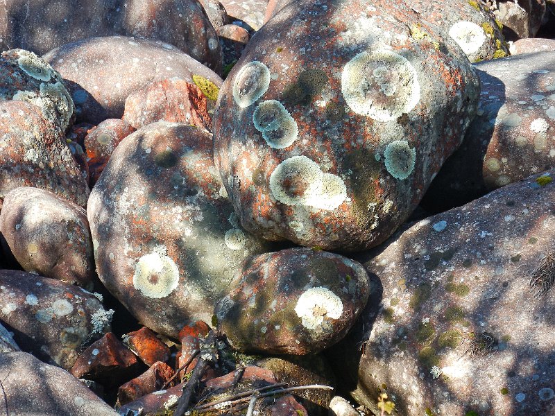 DSCN1079.JPG
