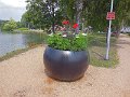 DSCN1257