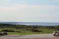 IMG_3971