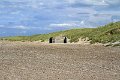 IMG_4021