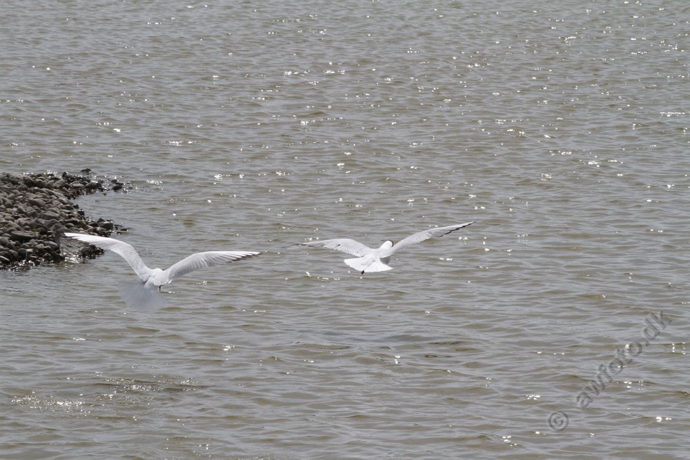 IMG_5904.JPG