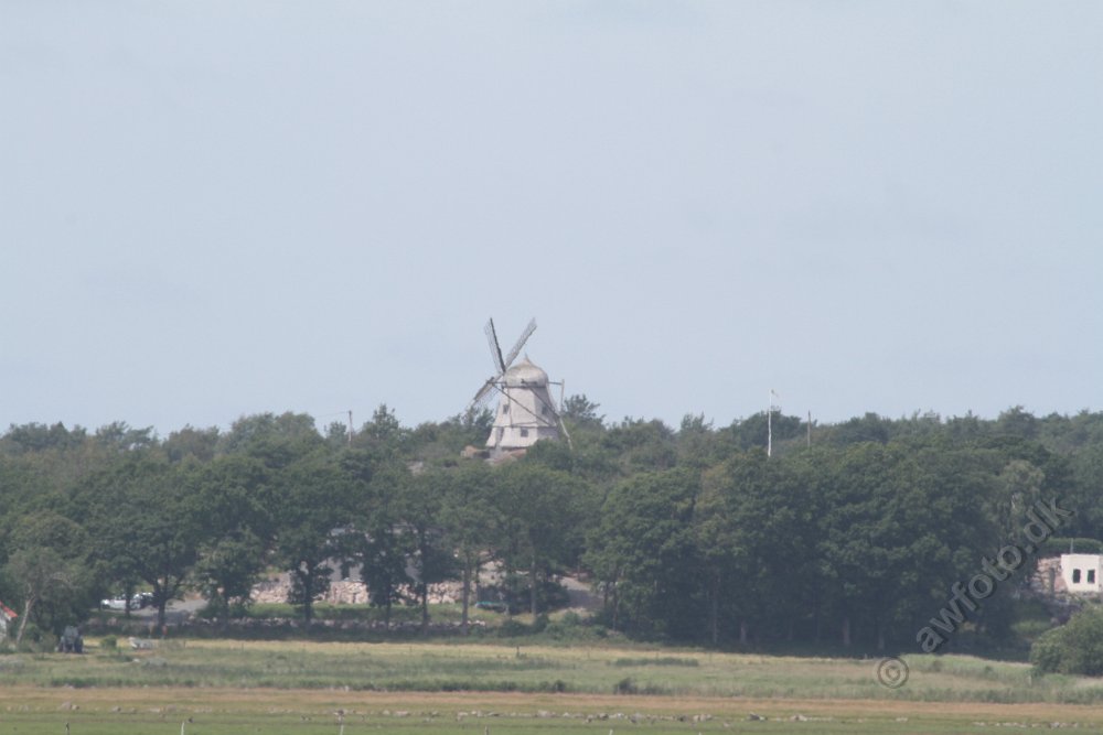 IMG_5906.JPG