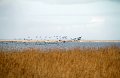 IMG_2053