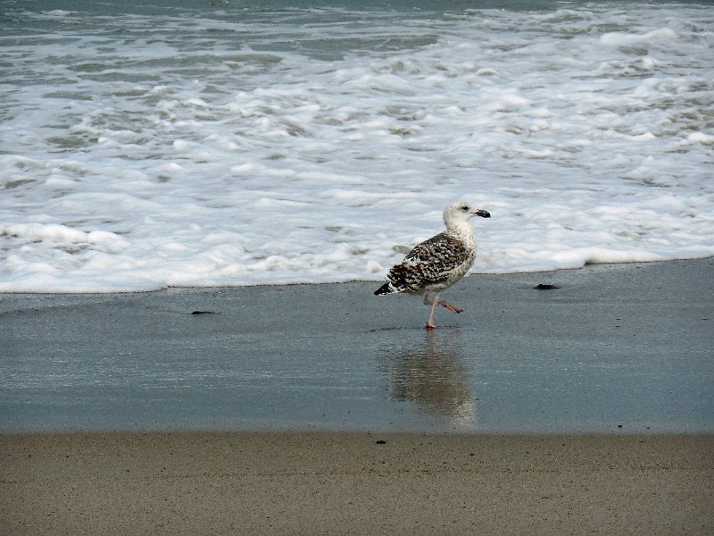 DSCN1517.JPG