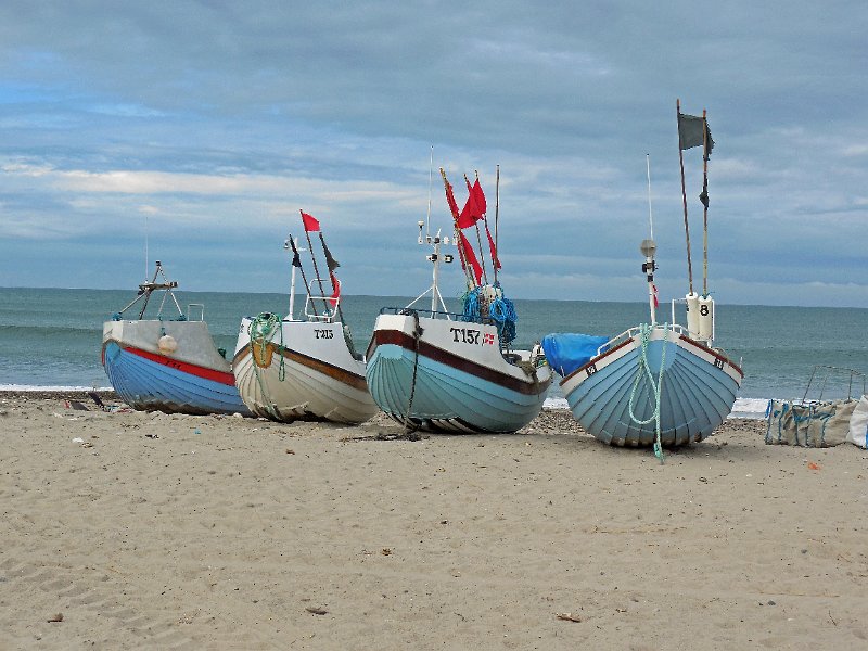 DSCN1518.JPG