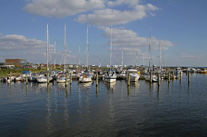IMG_8722.JPG
