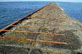 IMG_8507