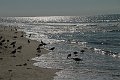 IMG_8555