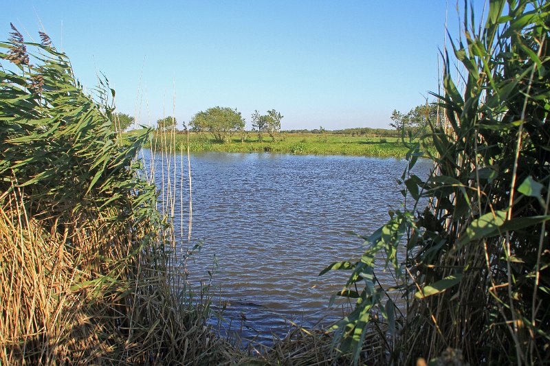 IMG_3814.JPG