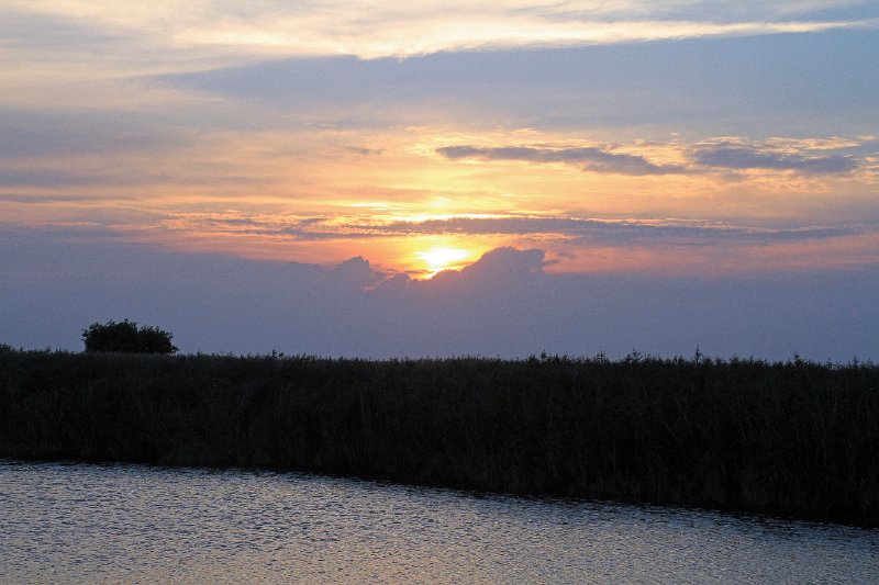 IMG_3875.JPG
