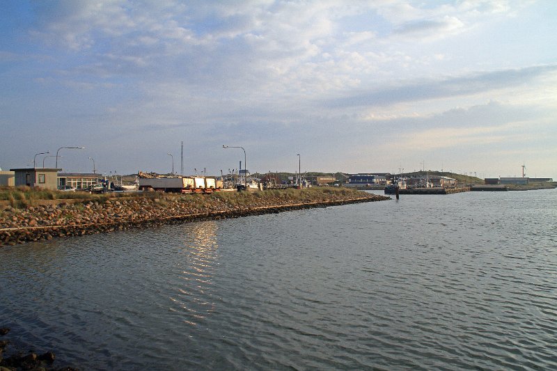 IMG_3910.JPG