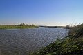 IMG_3810