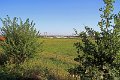 IMG_3827