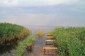 IMG_3932