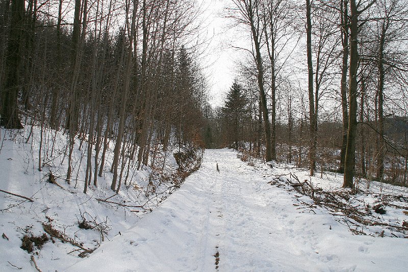 IMG_4676.JPG