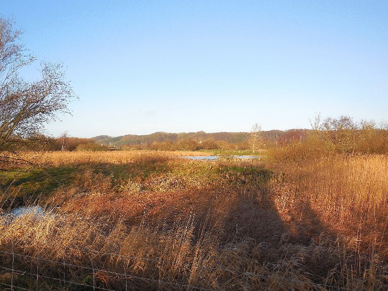 DSCN0413.JPG