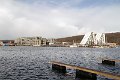 IMG_2233