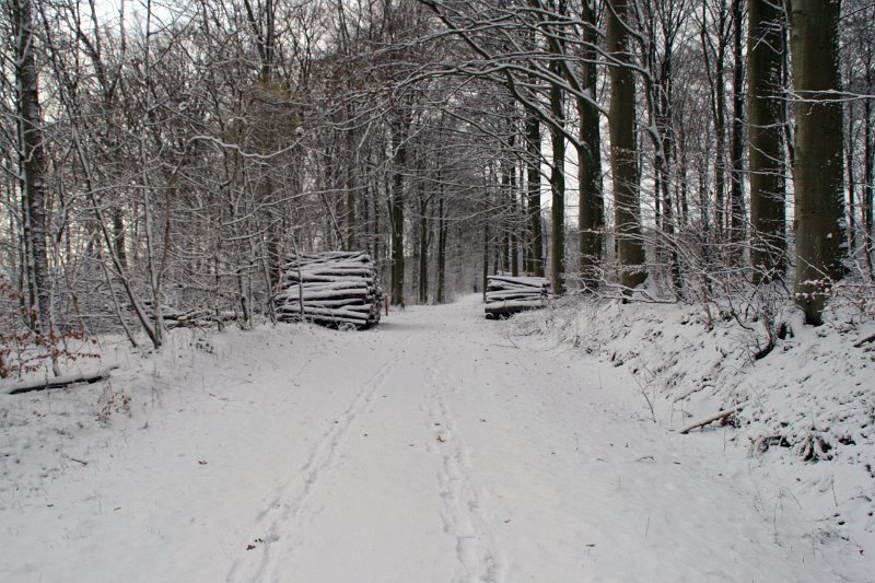 IMG_8300.JPG