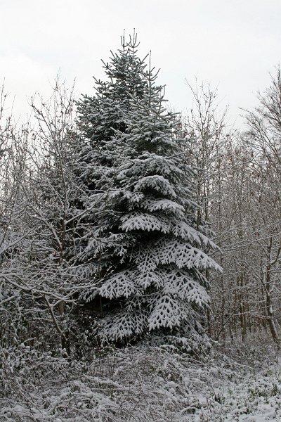 IMG_8308.JPG