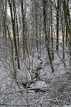 IMG_8291