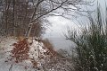 IMG_8295