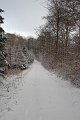 IMG_8297